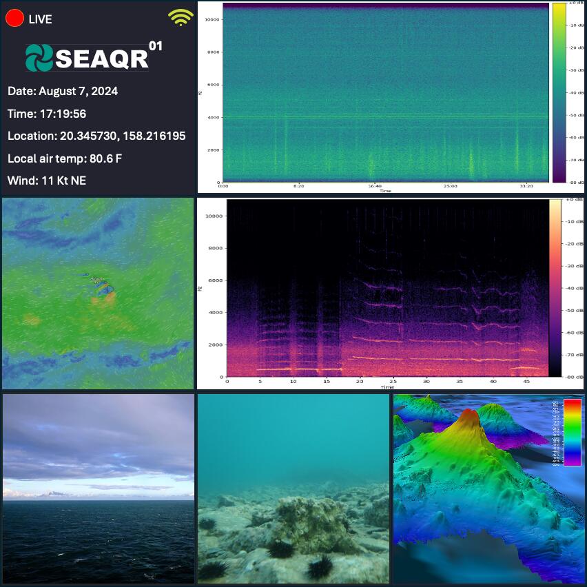 SEAQR AI Models